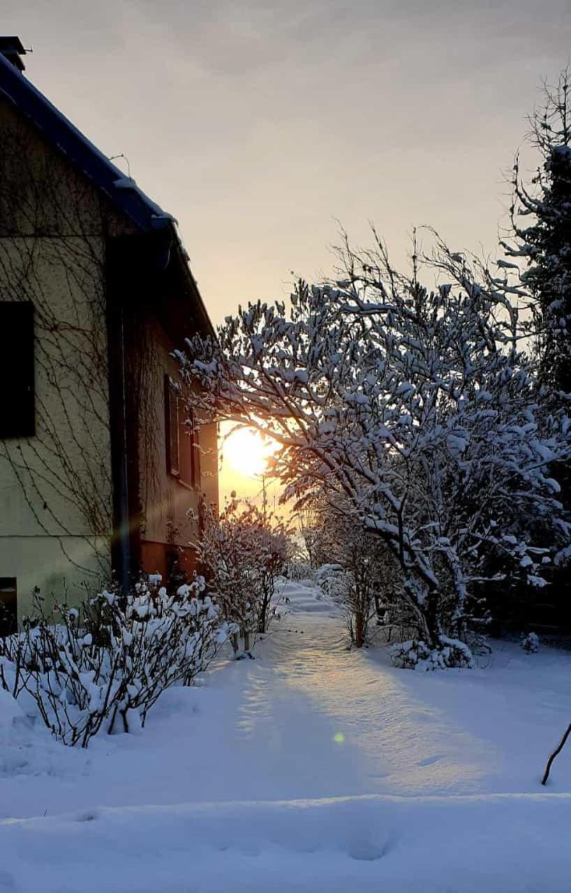 La Maison Des Roses Drachenbronn-Birlenbach Экстерьер фото